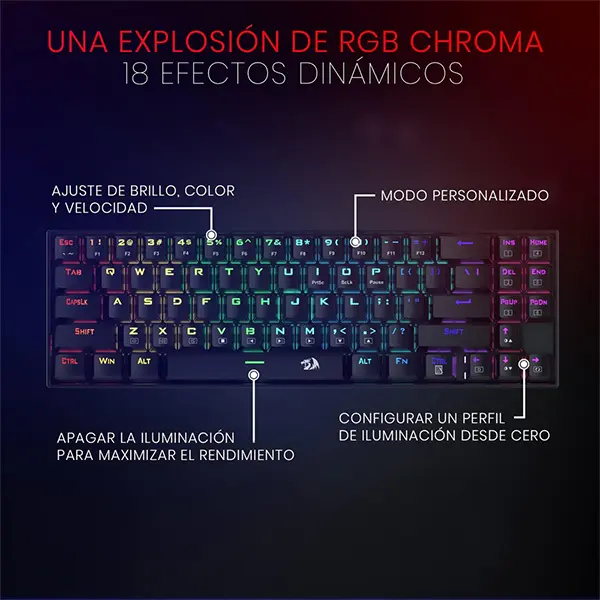 4.webp
