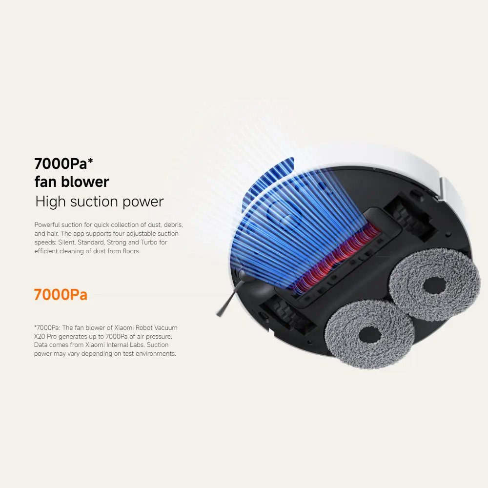 6.webp