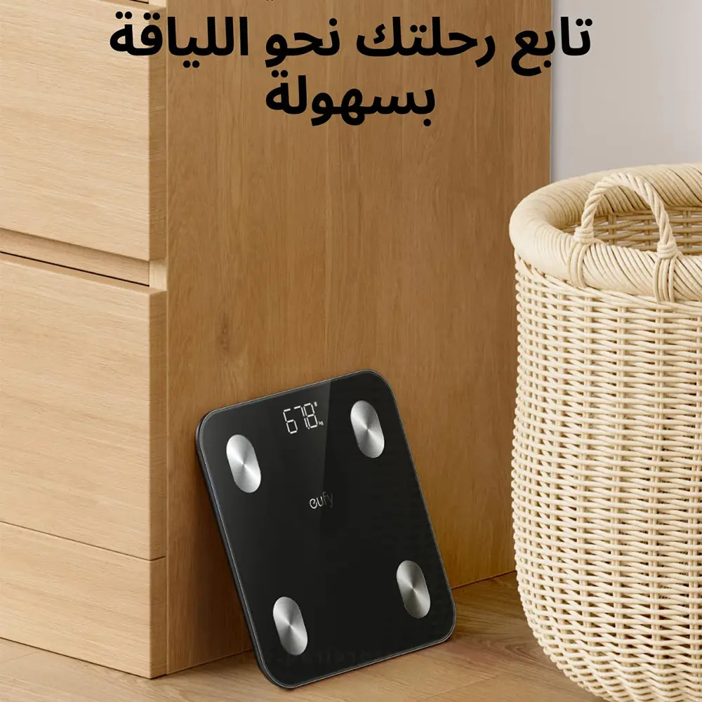 5.webp