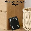 5.webp