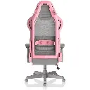 GzYMJPeDRrXXQejFNRbO6cvv48IK9xgSeRigw2qx3GPNY03CtX.webp