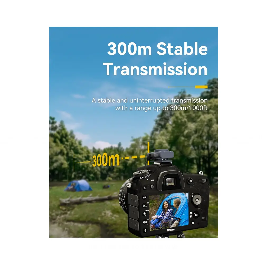 7.webp