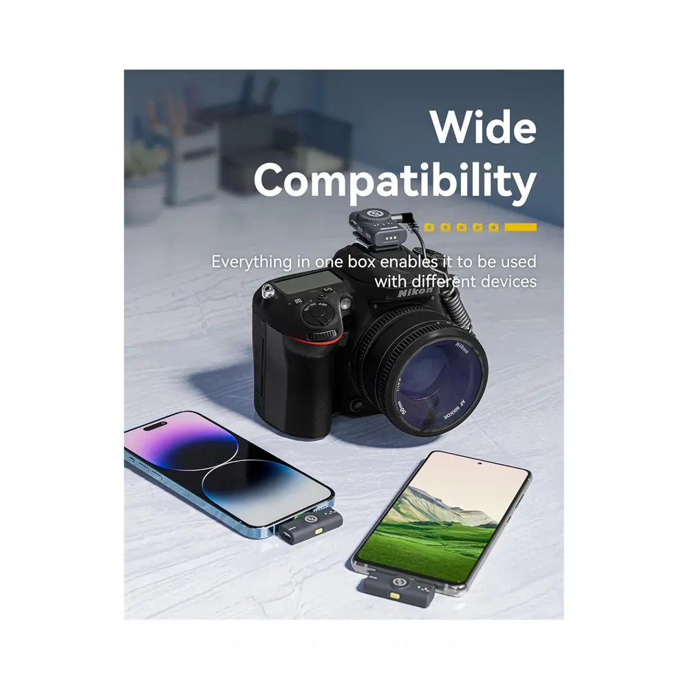 5.webp