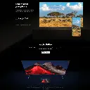 11.webp