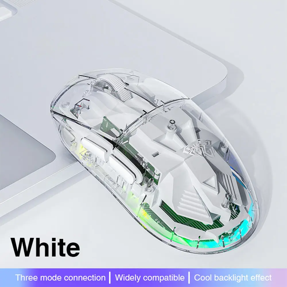 2.webp