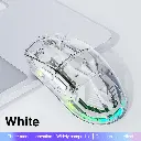 2.webp