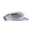 4.webp