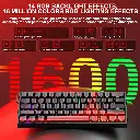 7.webp