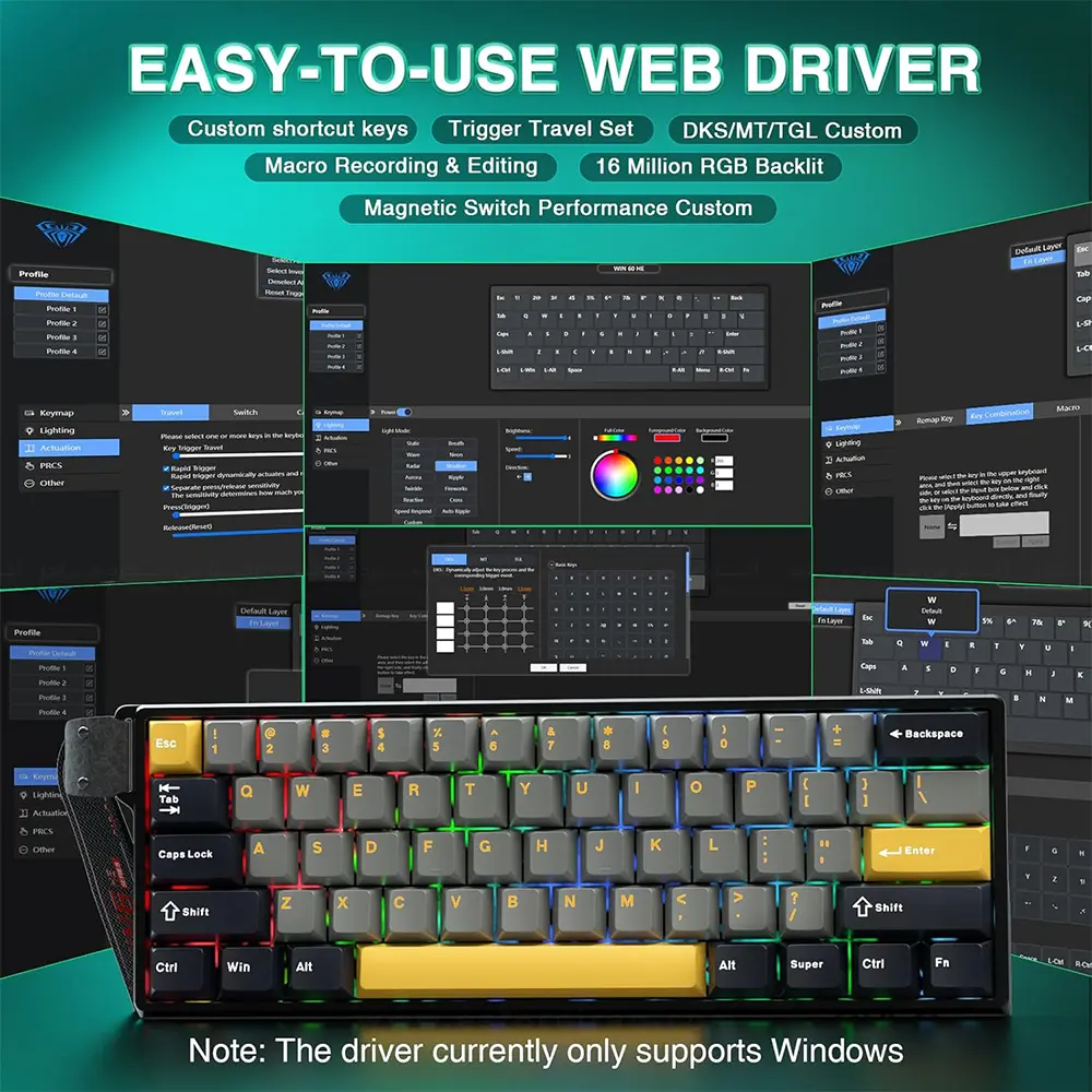 6.webp