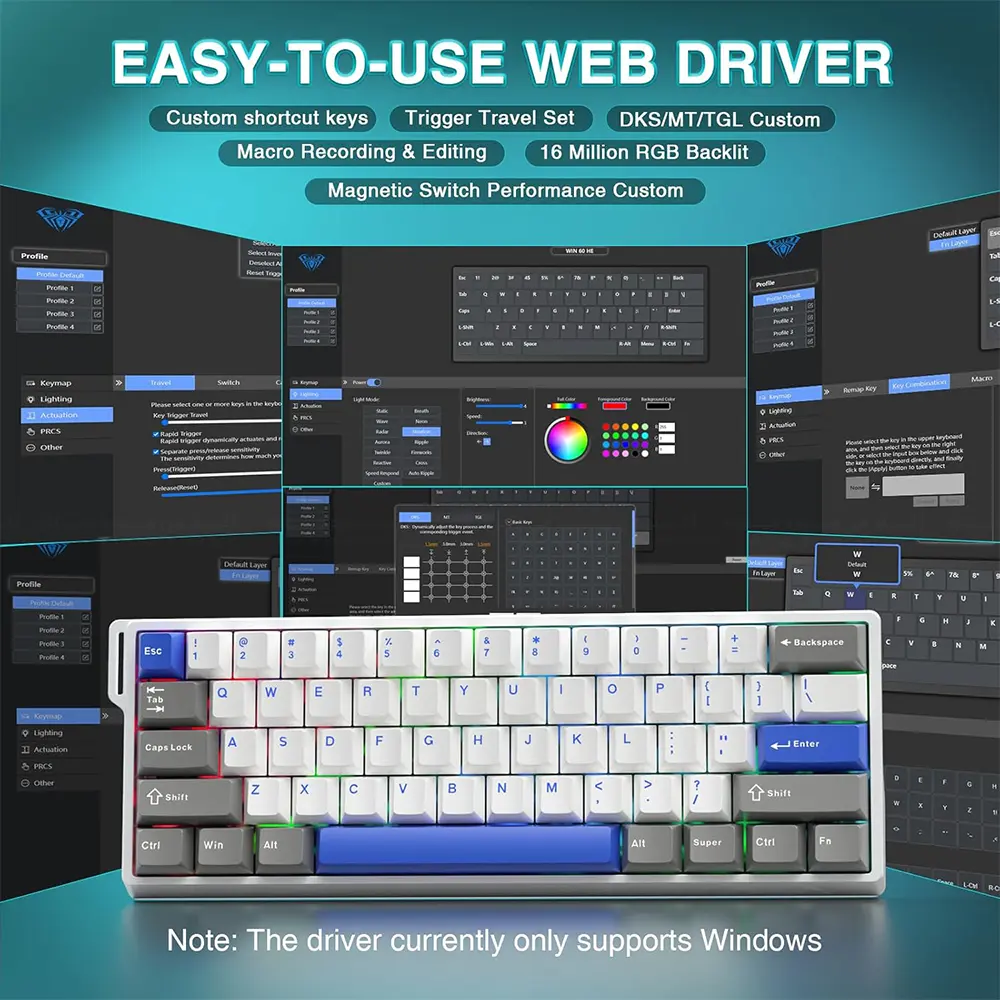 6.webp