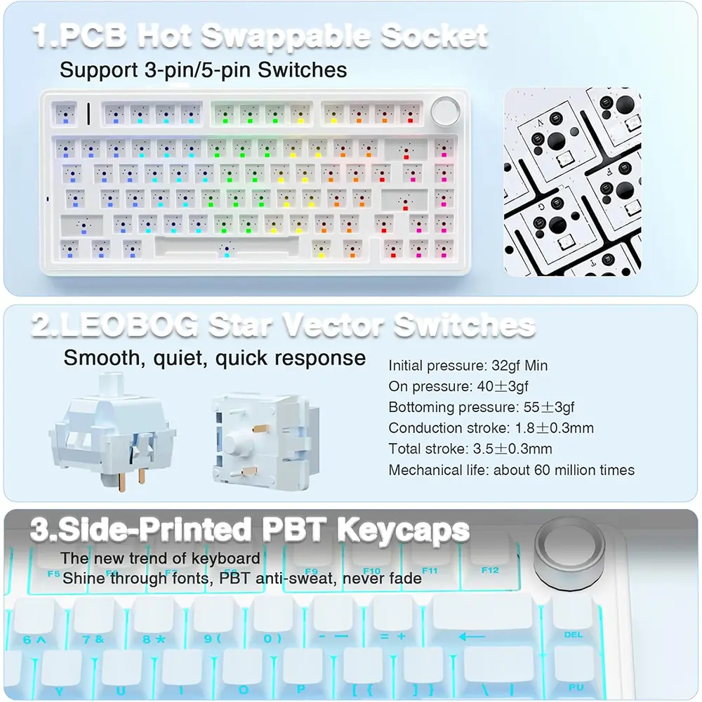 6.webp