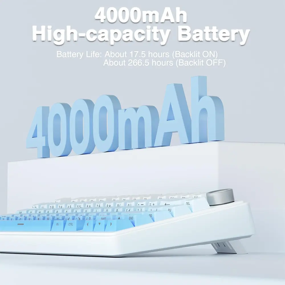 8.webp