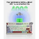 9.webp