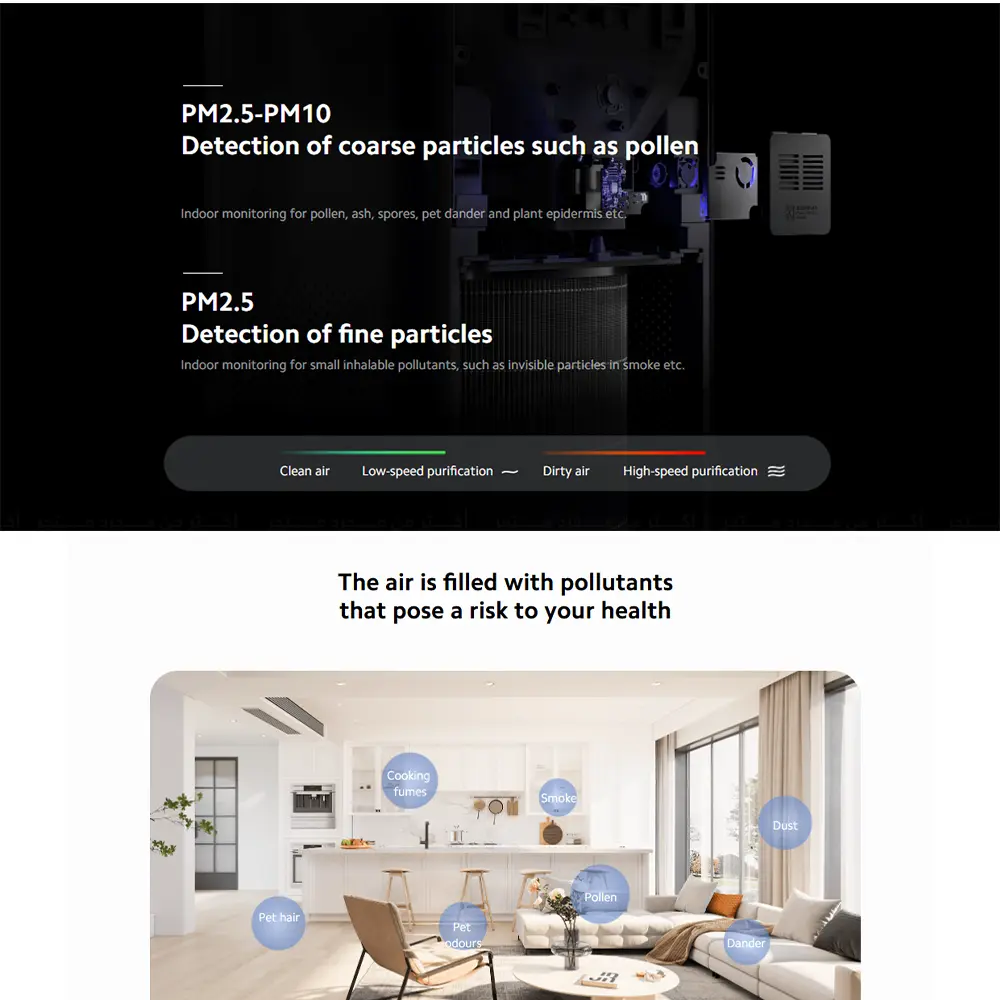 7.webp