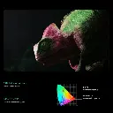 7.webp