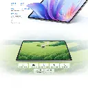 8.webp