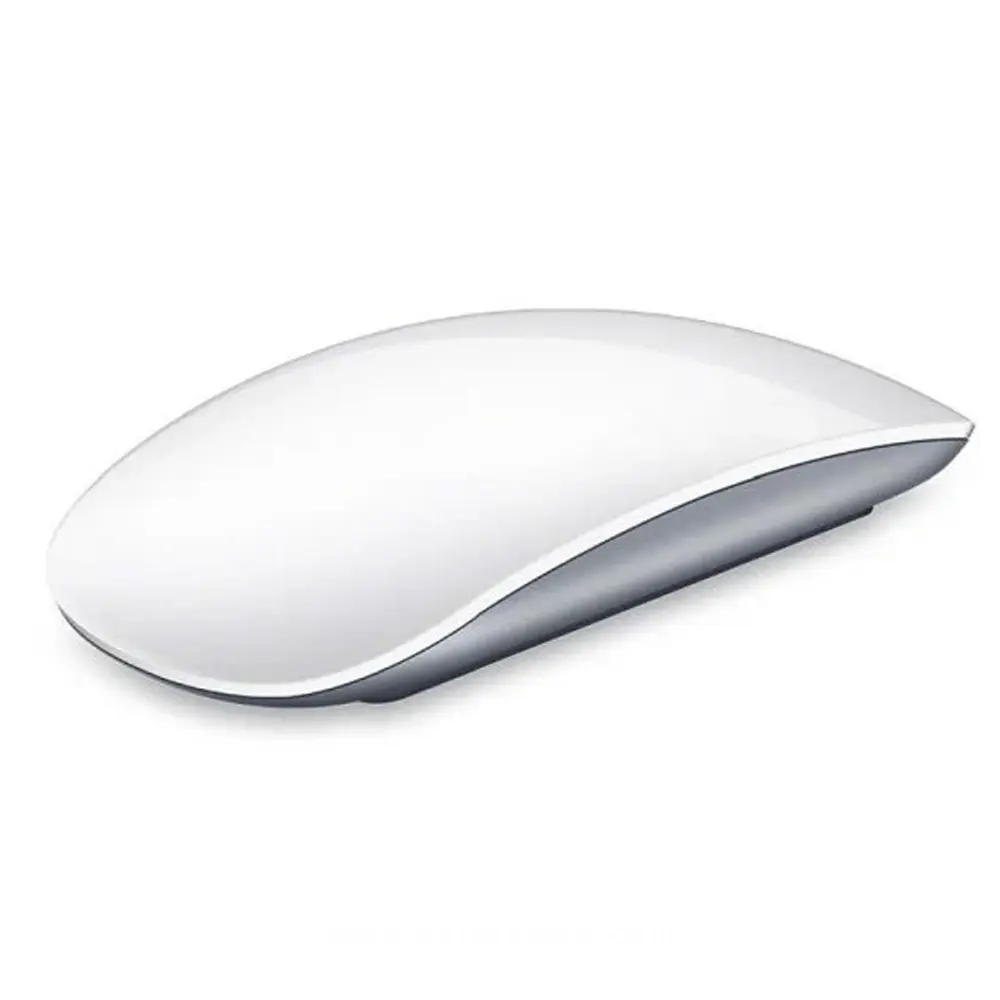 3.webp