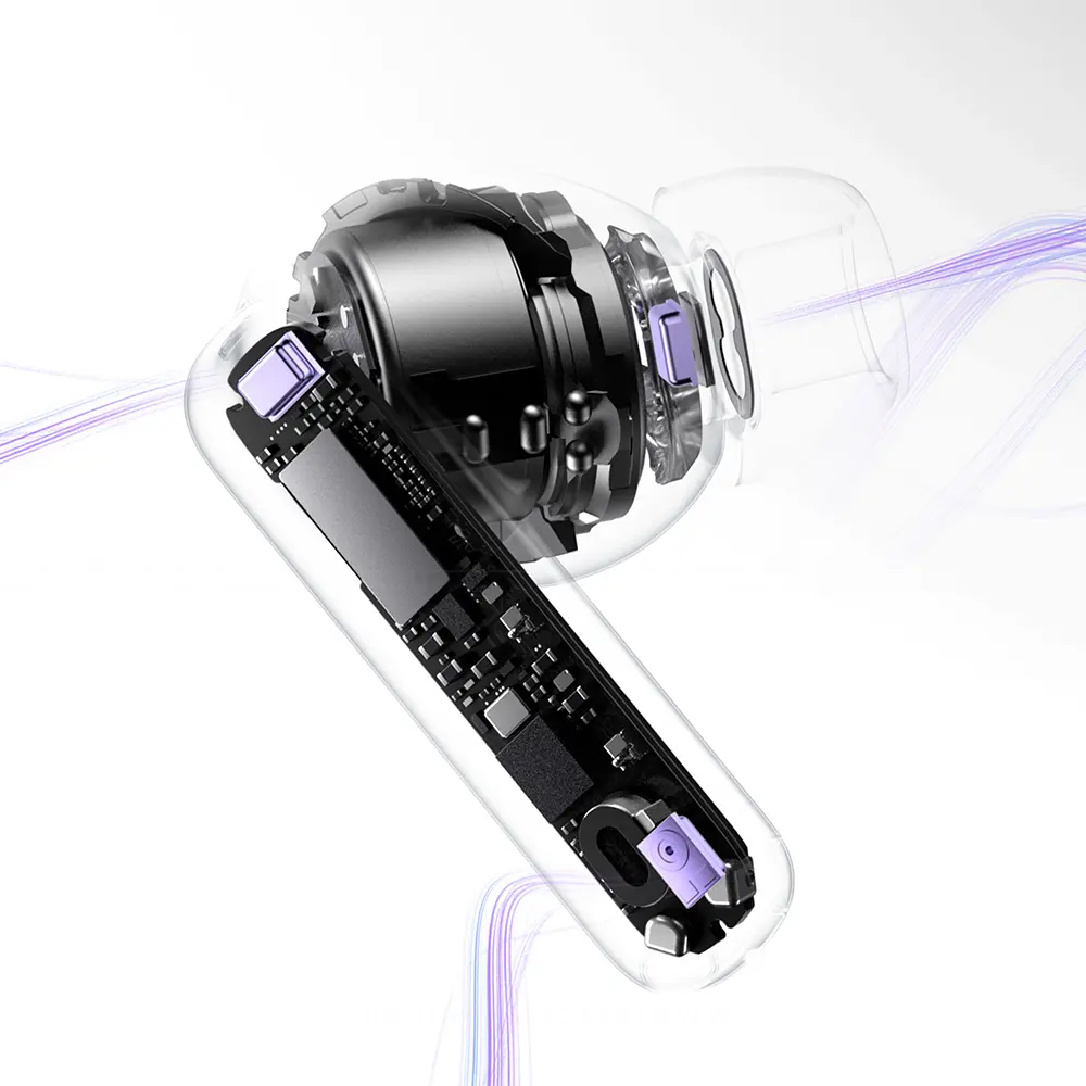 5.webp